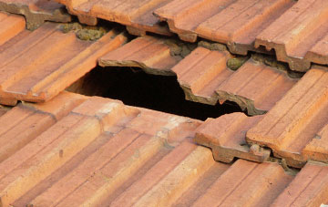 roof repair Peaseland Green, Norfolk
