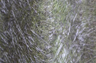 Peaseland Green fibreglass roof work